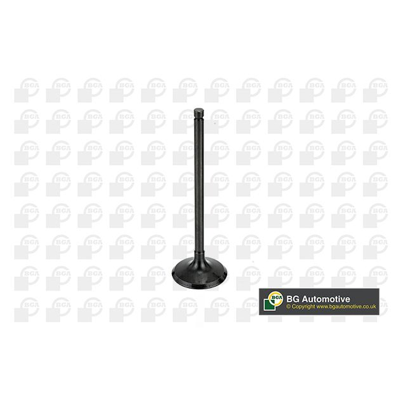 BGA Intake Valve Inlet V998745