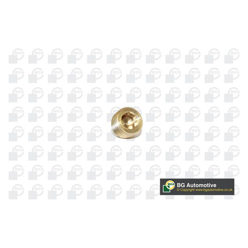 BGA Sump Plug PK2202
