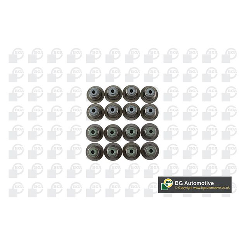 BGA Valve Steam Seal VK2372