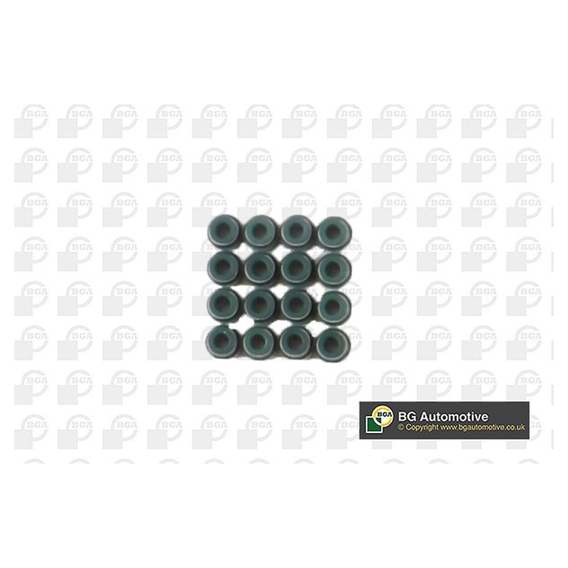 BGA Valve Steam Seal VK4377