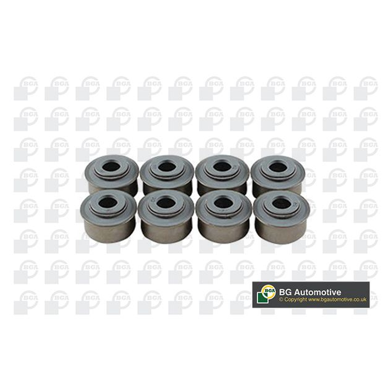 BGA Valve Steam Seal VK6371