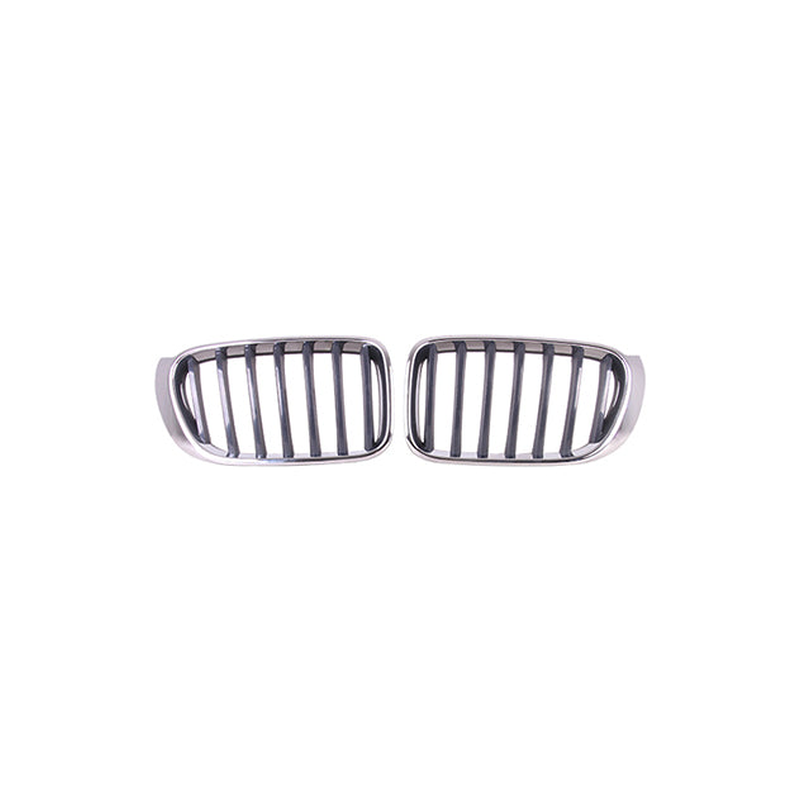 BMW X3 2014-2017 Ns Radiator Grille