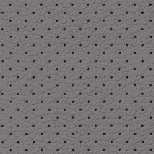 Punched Leather